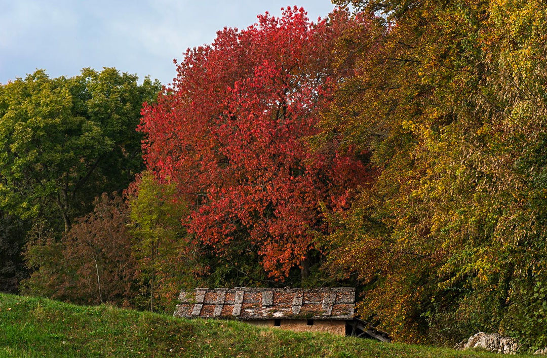 Natura d’Autore – 27 Ottobre ore 9.00